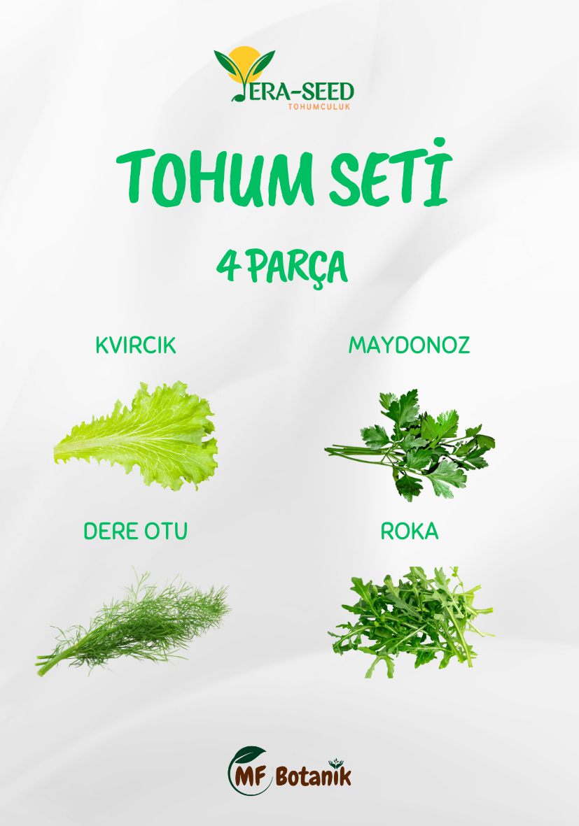 MF Botanik Vera-seed Yeşillik Tohum Seti Maydanoz Roka Tere Dereotu Tohumu 4'lü Paket