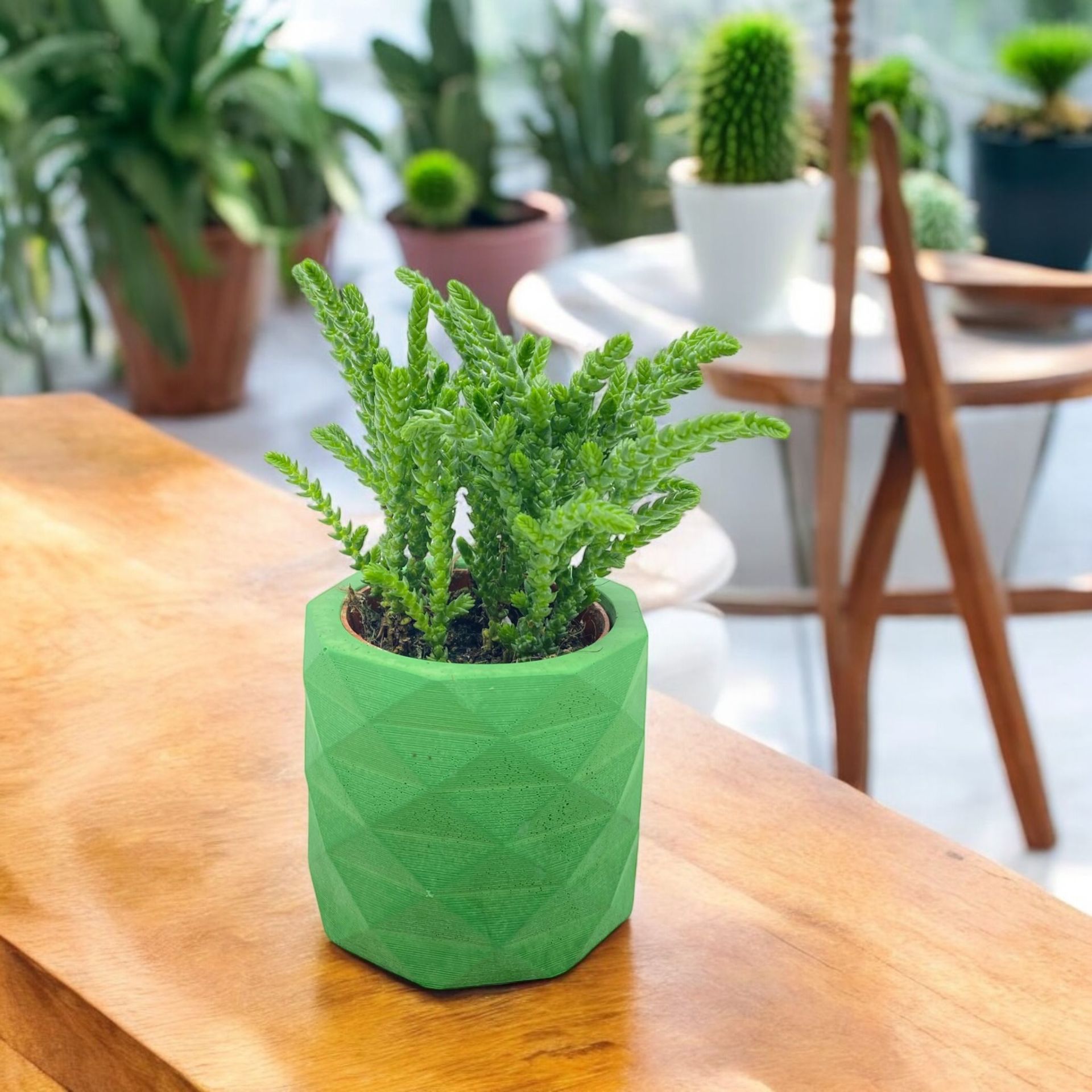 Küçük Boy Piramit Beton Saksı YEŞİL