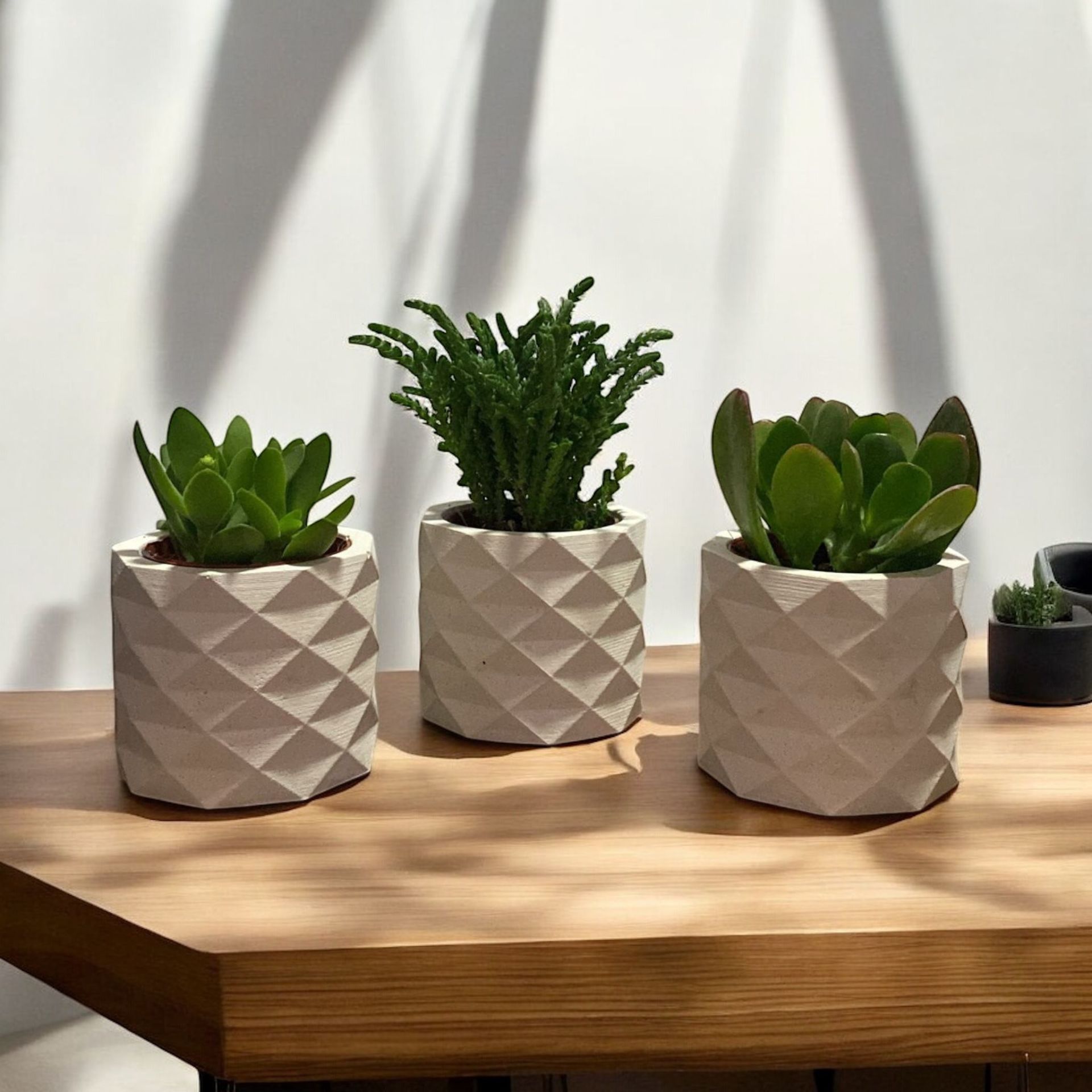 Beyaz Piramit Beton Saksılık Kaktüs Ve Sukulentlik 3'lü Set