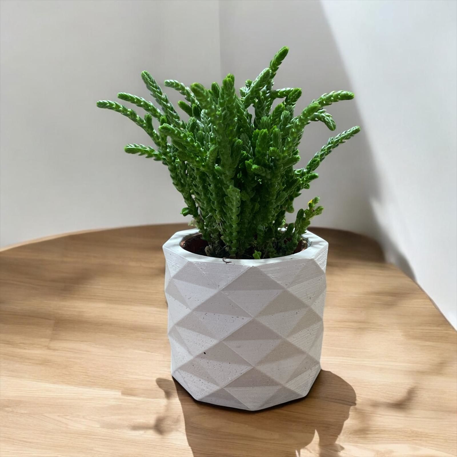 Vera-Stone Piramit Beton Saksı