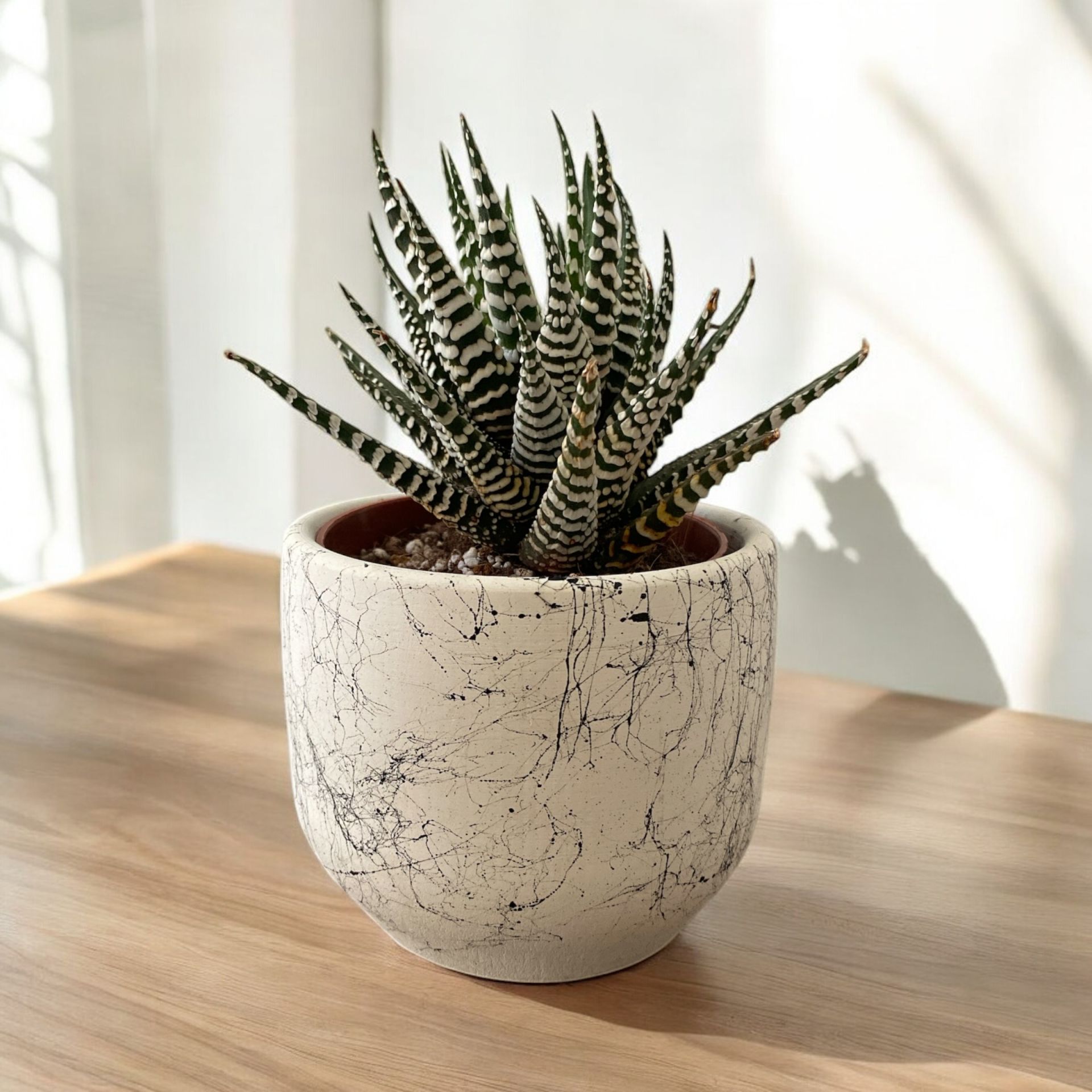 Dekoratif Beton Saksılık - Mermer Efektli - 8 cm Üretim Saksı için Saksı Kabı BEYAZ