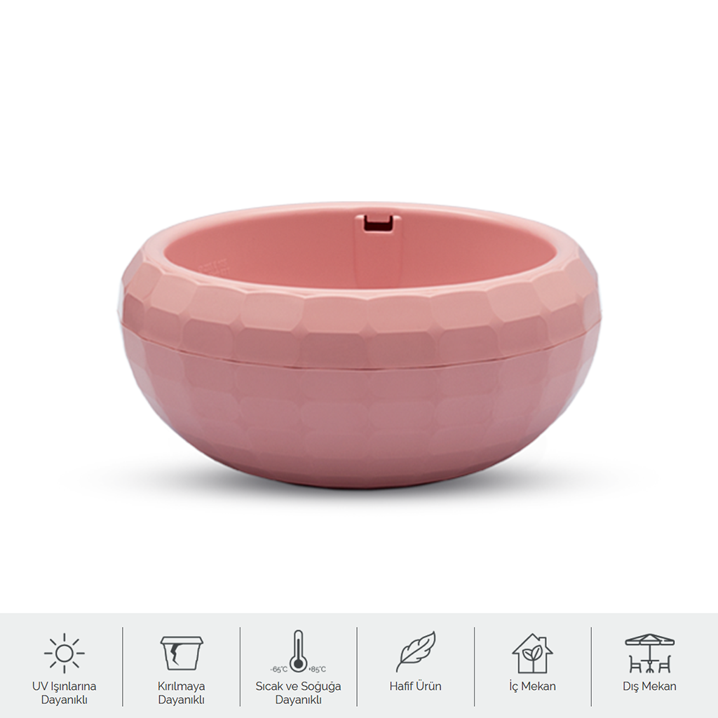 Kaktüs Aranjman Saksı 2 Litre Pembe