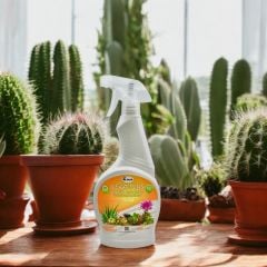 Vera-Plus Kaktüs Besini 500 Ml