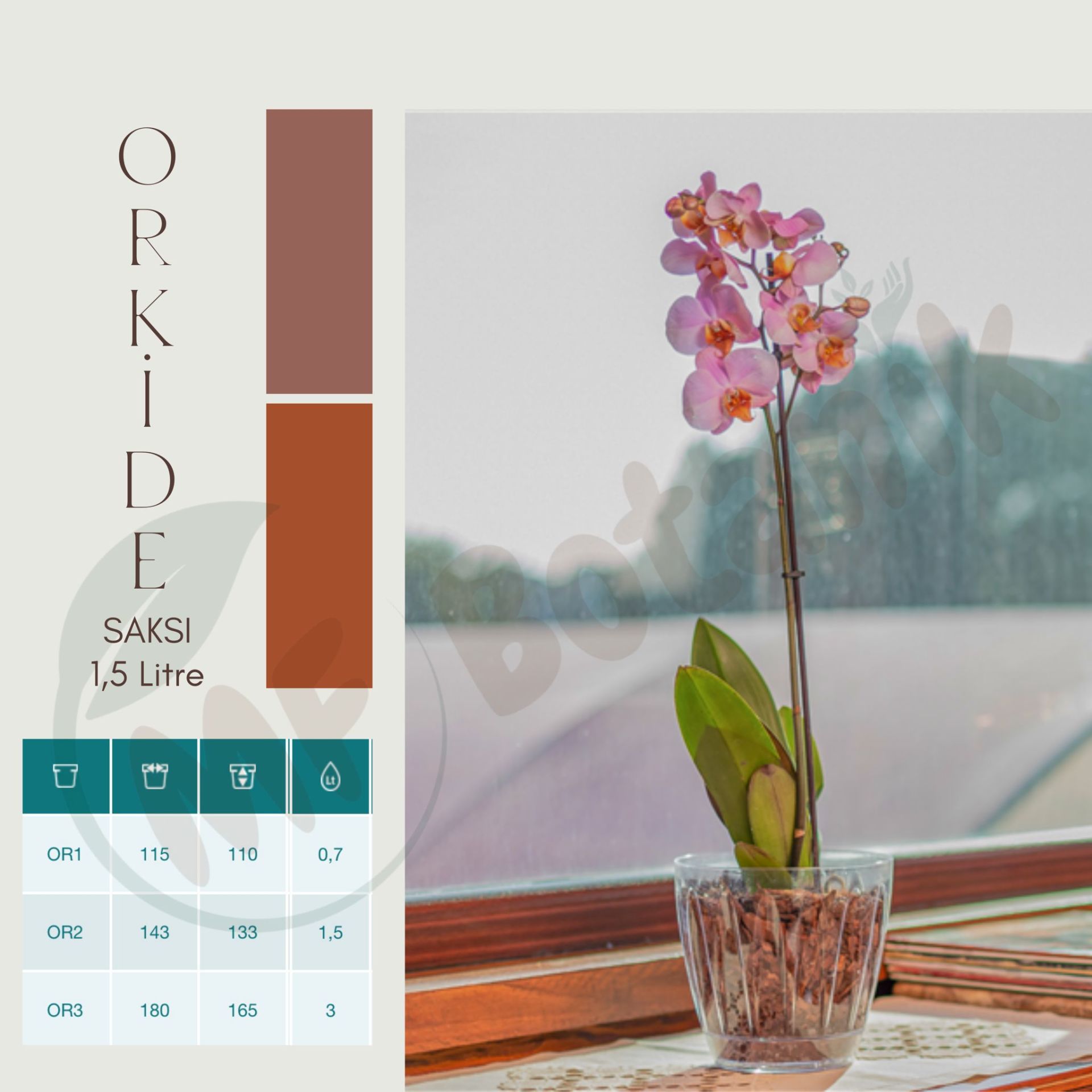 Orkide Şeffaf Tabaklı Saksı 1.5 Litre