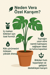 İç Mekan Bitkileri Bakım Seti 3Lü Set VS3Lü