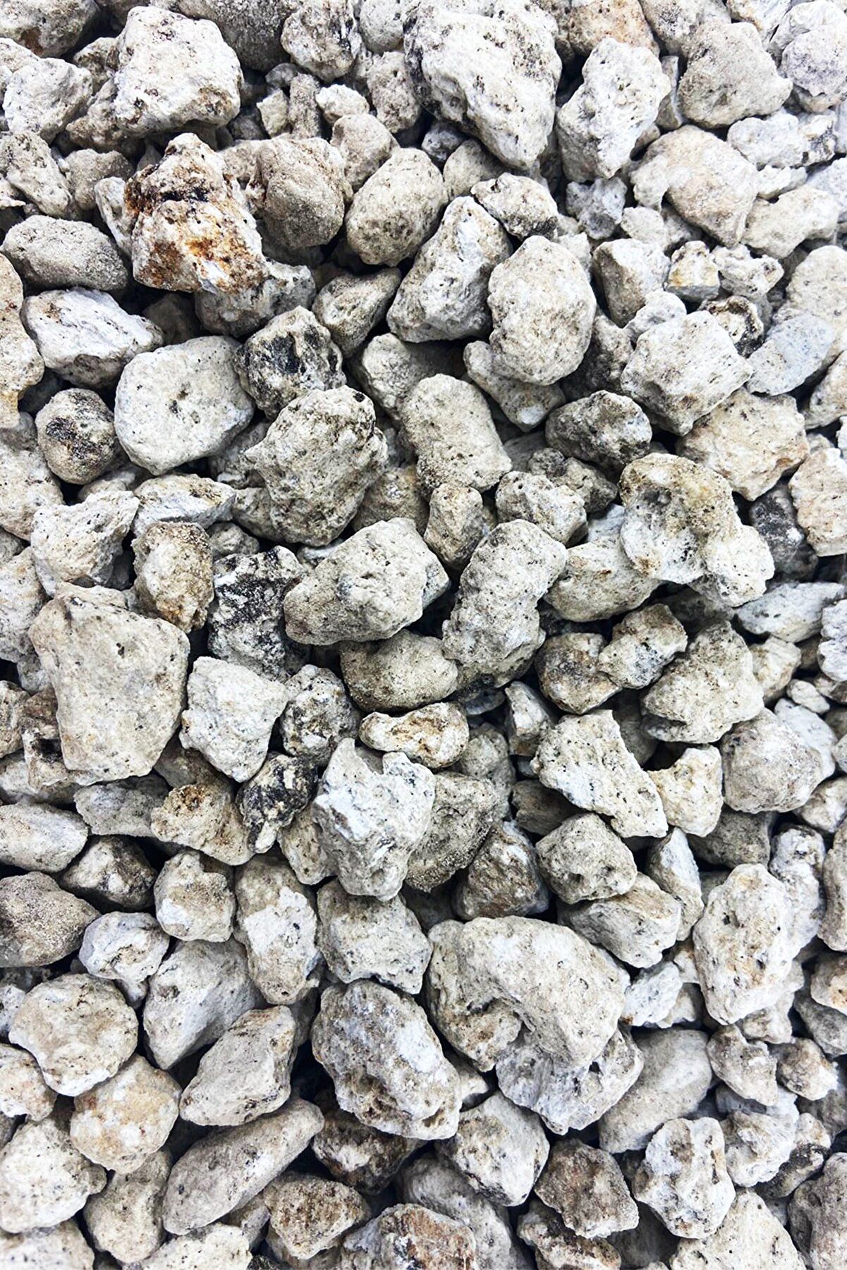 MF Botanik  Beyaz Pomza Taşı 4-8 mm  15 Litre Volkanik Ponza Taşı