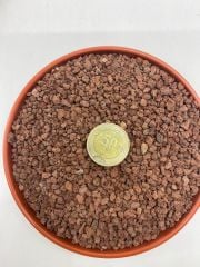 Kırmızı Pomza Taşı 4-8 mm 15 Litre Volkanik Ponza Lav Taşı