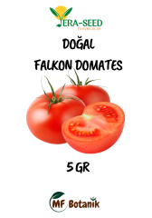 MF Botanik Vera-Seed 6'lı Organik Sebze Tohum Paketi