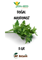 MF Botanik Vera-seed Yeşillik Tohum Seti Maydanoz Roka Tere Dereotu Tohumu 4'lü Paket
