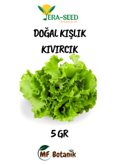 MF Botanik Vera-seed Yeşillik Tohum Seti Maydanoz Roka Tere Dereotu Tohumu 4'lü Paket