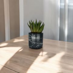Küçük Boy Mermer Desen SİYAH Beton Saksı 5,5 cmlik