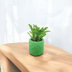 Küçük Boy Piramit Beton Saksı YEŞİL