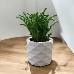 Vera-Stone Piramit Beton Saksı