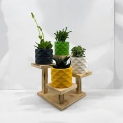Vera-Stone 4'lü Piramit Beton Kaktüs ve Sukulent Saksısı