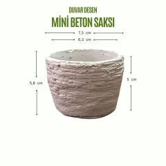 Duvar Desen Beton Saksı 0,15 litre  - Kaktüs Sukulent Saksısı