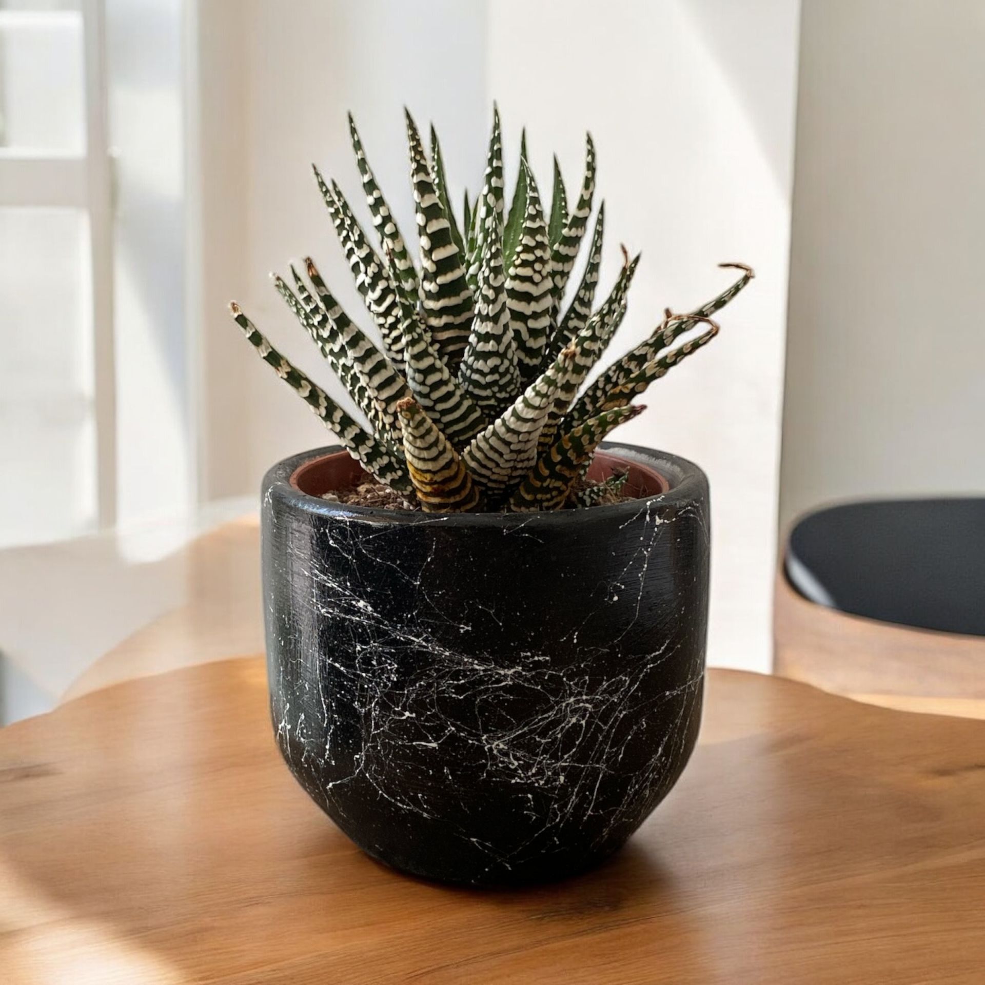 Dekoratif Beton Saksılık - Mermer Efektli - 8 cm Üretim Saksı için Saksı Kabı ANTRASİT