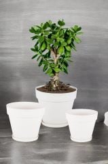 Yalı Saksı 3'Lü set