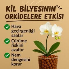 Kil Bilyesi Orkide Yetiştirme Ortamı 8-16 mm (1 Litre)