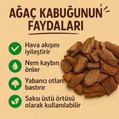 Doğal Ağaç Çam Kabuğu Orkide İçin 10-20 mm  - 1 LİTRE