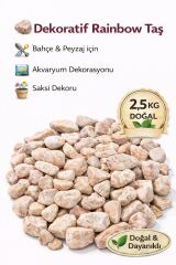 Rainbow Çakıl Taşı 1-2 Cm 2,5 Kg