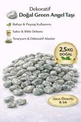 Green Angel Dekotatif Çakıl Taşı 1-2 Cm 2,5 Kg