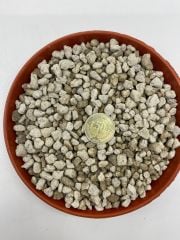 MF Botanik Beyaz Pomza Taşı 4-8 MM 5 Litre Volkanik Ponza Taşı