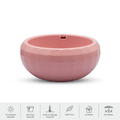 Kaktüs Aranjman Saksı 2 Litre Pembe