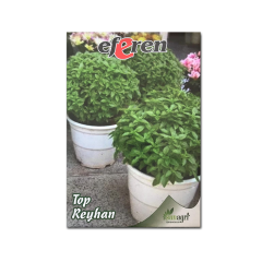 Top Reyhan Çiçeği Çiçek Tohumu