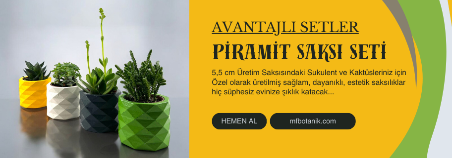 mfbotanik.com