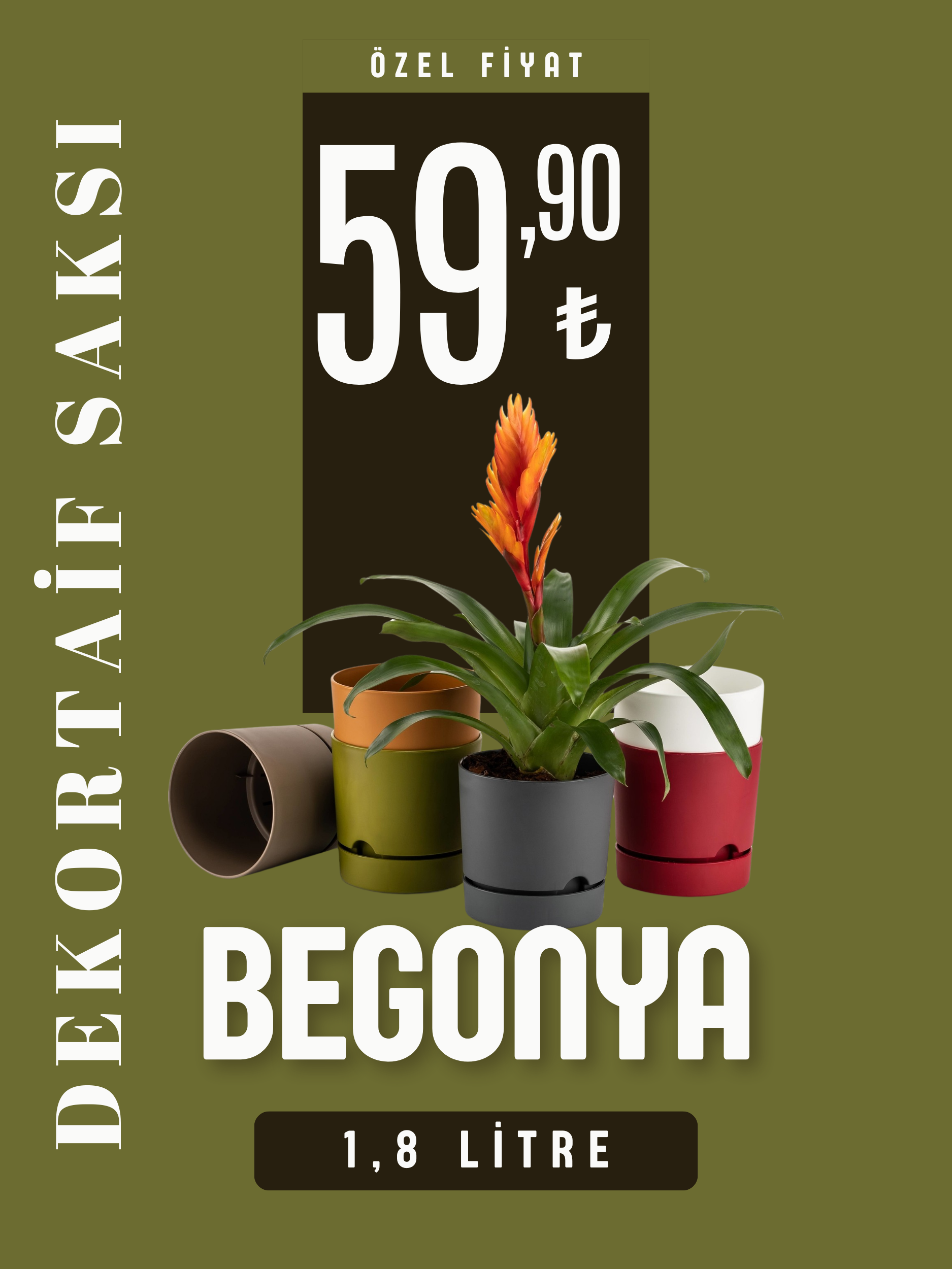 mfbotanik.com